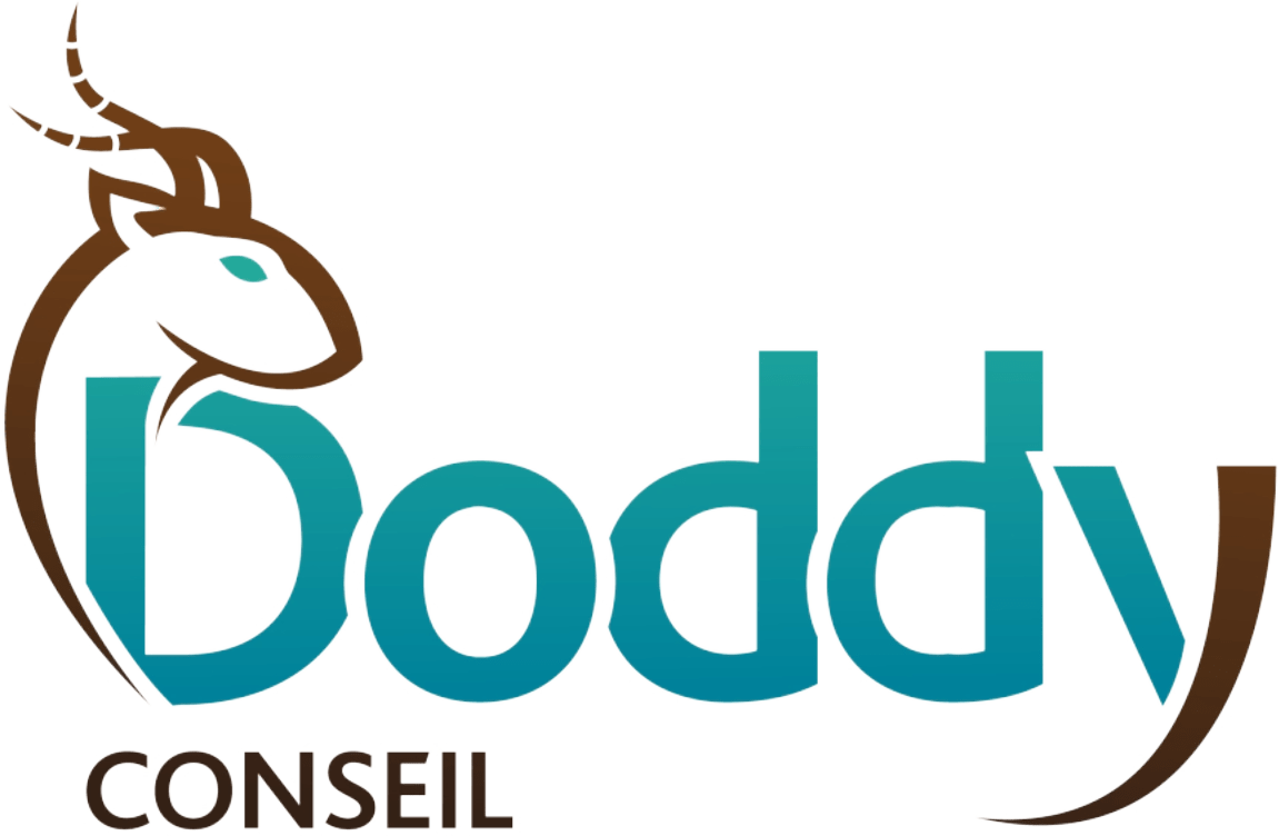 Logo du client Doddy conseil